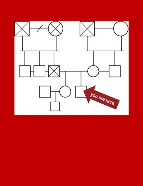 Genogram Template For Microsoft Word Made Easy