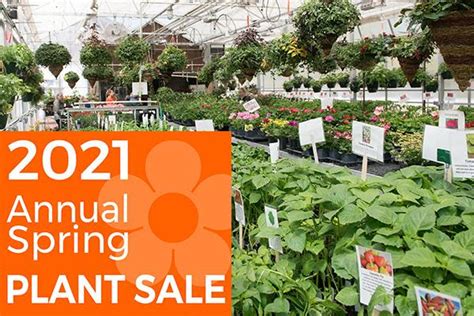 Hennepin Tech Plant Sale: Discounted Prices On Quality Plants