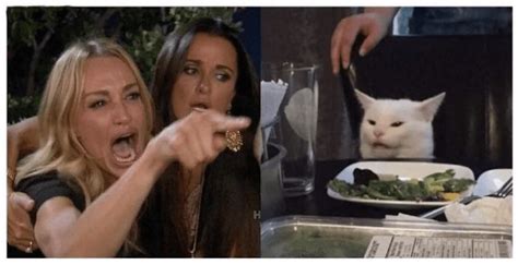 Lady Screaming At Cat Meme Template Fun