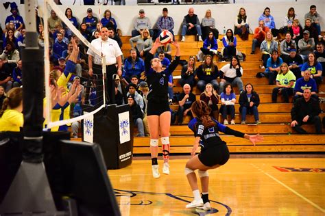 Lawrence Tech Volleyball Team Overview And Updates