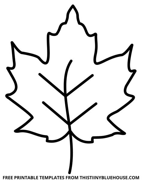 Leaf Template Free Printable Download