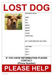 Lost Pet Flyer Template Free Download For Quick Action