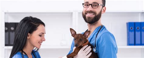 Marylands Top Vet Tech Salaries Revealed