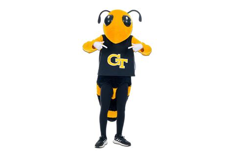 Meet The Georgia Tech Mascot: The Yellow Jacket