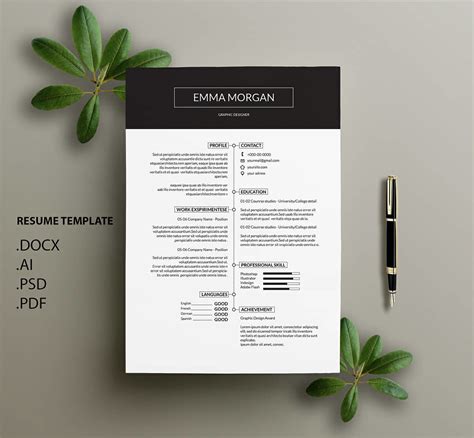 Modern Minimalist Resume Template Examples For Professionals