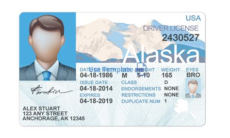 Novelty Ids Made Easy With Photoshop Templates