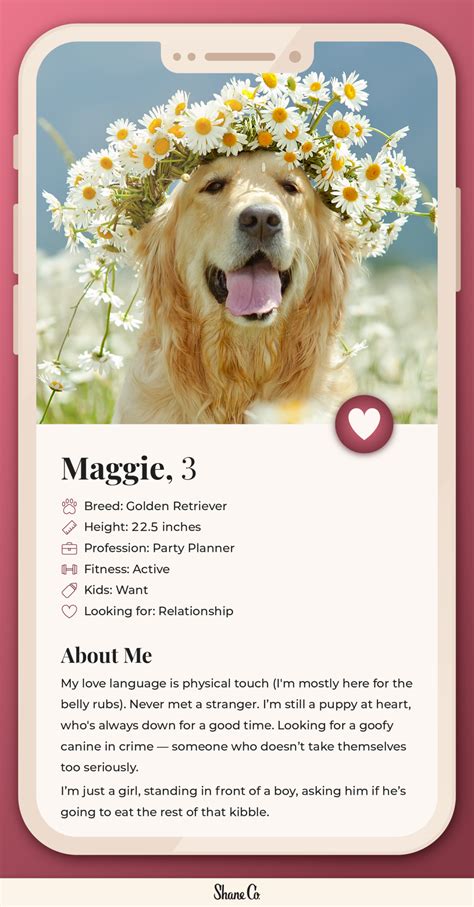 Pawfect Match: Dog Dating Profile Template Guide