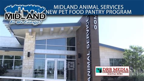 Pet Tech Solutions In Midland, Tx For Modern Pet Owners