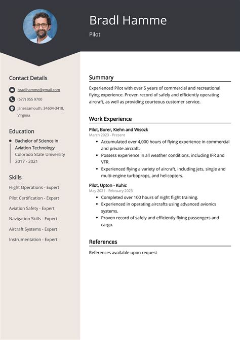 Pilot Resume Template In Microsoft Word