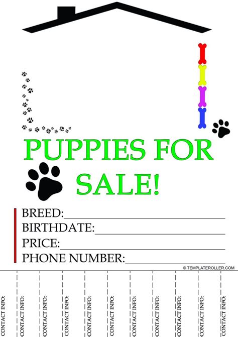 Puppies For Sale Flyer Template Free Download