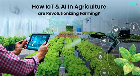 Revolutionizing Farming With Swiftly Tech Crop Innovations