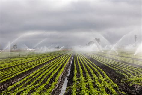 Revolutionizing Water Management With High Tech Irrigation Inc