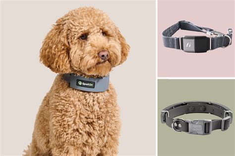 Smart High Tech Dog Collar For Modern Pet Owners