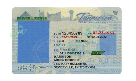 Tennessee Drivers License Template And Requirements Guide