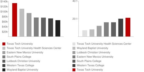 Texas Tech University Professor Salaries Revealed