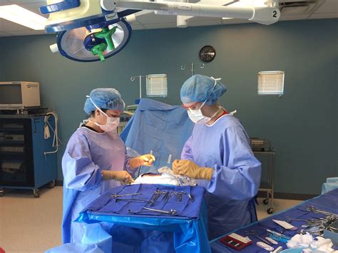 Top 5 Surgical Tech Programs In Dfw