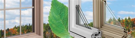 Top 5 Thermo-Tech Windows Reviews