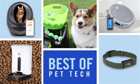 Top 7 Pet Tech Products You Need Now