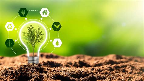 Transforming Businesses With Innovative Green Tech Services