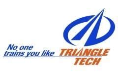 Triangle Tech Inc Greensburg: Innovative Solutions For The Future