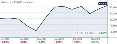 Usaa Science And Tech Fund Investment Insights