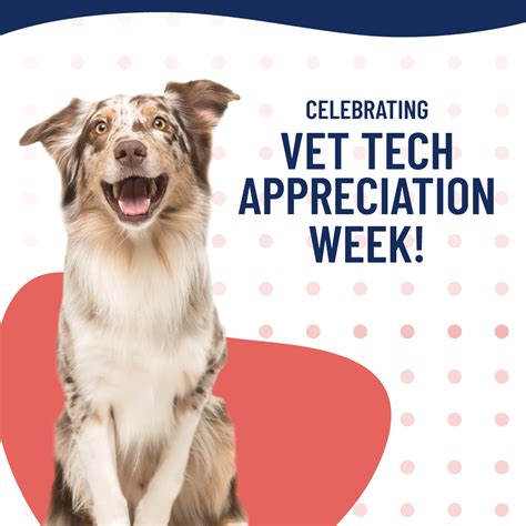 Vet Tech Appreciation Ideas To Show Your Gratitude