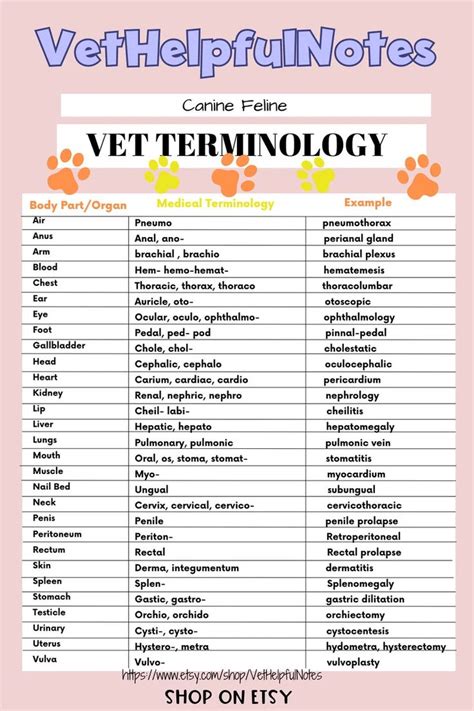 Vet Tech Cheat Sheets Made Easy