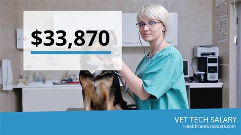 Vet Tech Salary In Florida: How Much Can You Earn